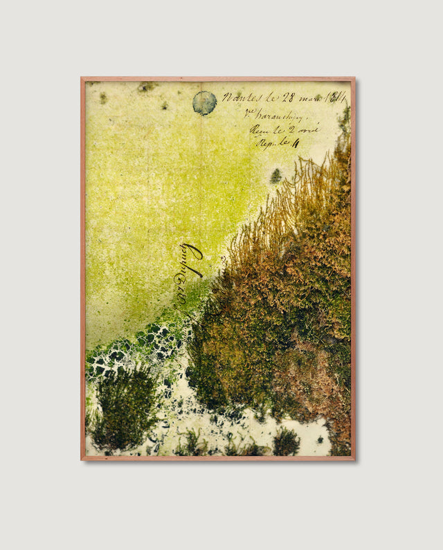 Dutch Moss 1
